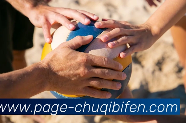 出奇体育数据服务体系